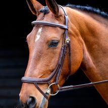 SALISBURY Salisbury Buckingham Bridle, Brown