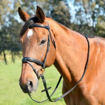 Kincade Classic Plain Raised Flash Bridle, Brown