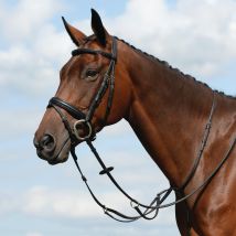 Collegiate Syntovia+ Plain Flat Running Martingale, Black