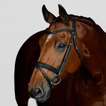Collegiate ComFiTec Opulux Plain Padded Hanoverian Flash Bridle, Black