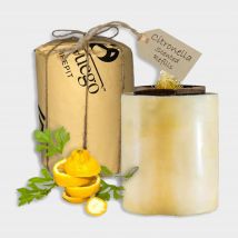 Eco fuego Citronella Single 8 Hour Refill, Brown