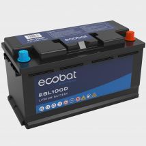 Ecobat 100(D)Ah Lithium Multi Purpose Battery, Black