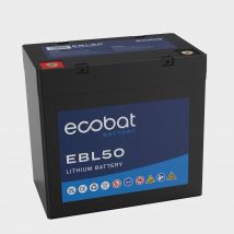 Ecobat 50Ah Lithium Multi Purpose Battery, Black