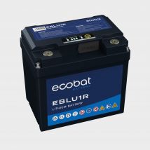 Ecobat 48Ah Lithium Multi Purpose Battery, Black