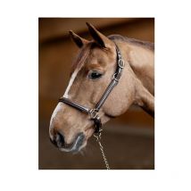 Hfi - Licol Little Groom Hfi