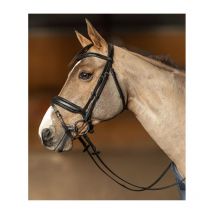 Hfi - Bridon Edges Hoofdstel Hfi