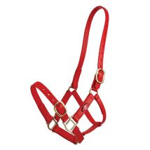 Zilco - Licol Synthétique Pn Zilco