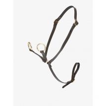 Lemieux - Martinguale Toy Pony Lemieux Marron