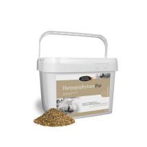 Horse Master - Complément Pour Articulations Harpagophytum Pur 5kg Horse Master