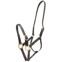 Zilco - Licol 19mm Zilco