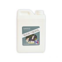 Rekor - Shampoing Sec Magic Groom Rekor