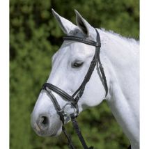 Waldhausen - Bridon Star Diamond Waldhausen
