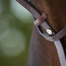 Hfi - Martingale À Anneaux Hfi