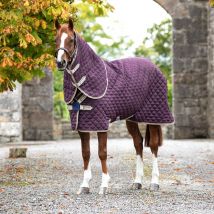 Horseware - Couverture Amigo Stable Plus Medium Front Disc 200g Horseware