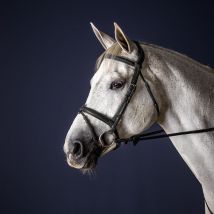 Dy'on - Bridon Muserolle Combinée New English Collection Dy'on