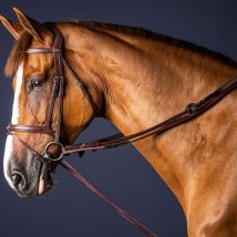 Dy'on - Rênes Allemandes Cuir Et Nylon 5/8 'new English Collection' Dy'on