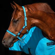 Horseware - Licol Amigo Horseware