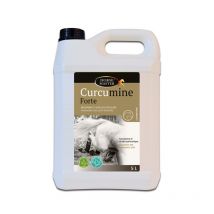 Horse Master - Sirop Souplesse Articulaire Curcumine Forte 5l Horse Master