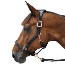 Privilège Équitation - Licol Nylon/Cuir Flags&Cup