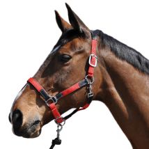 Privilège Équitation - Licol Nylon/Cuir Flags&Cup