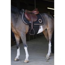 Norton - Sangle De Respect Norton