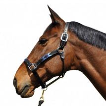 Flags&Cup - Licol Chukka Flags&Cup