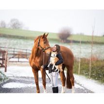 Hfi - Licol Polo Halter Hfi