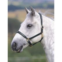 Nature Horse - Licol En Cuir Gara