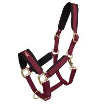 Back on Track - LICOL WERANO BACK ON TRACK Rubis;taille