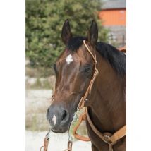Westride by Franck Perret - BRIDON 1 OREILLE WESTRIDE BY FRANCK PERRET Noisette;taille