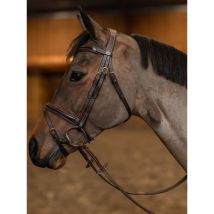 HFI - BRIDON PAINTED HFI Marron;taille