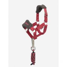 Lemieux - Licol Toy Pony Lemieux Ember