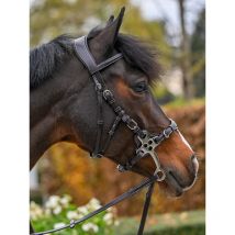 Jump'In - BRIDON HACKAMORE COLLECTION ONE PREMIUM JUMP'IN Havane;taille