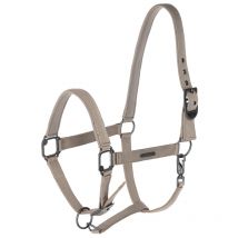 Covalliero - Licol Ss25 Covalliero