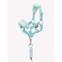 Lemieux - Licol Toy Pony Lemieux Lagoon