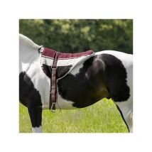 Norton - Tapis De Monte À Cru Norton