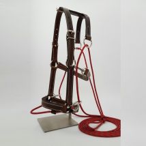 Pravins - Enrênement Gonin Pravins