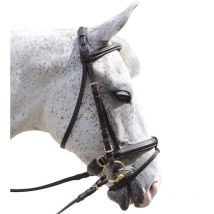 Canter - Bridon Pull Back Euro Canter