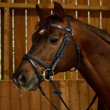 Dy'on - Bridon Muserolle Combinée Fancy Nouveau Modèle Working By Dy'on