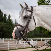 Dy'on - Bridon Muserolle Combinée Anatomique "Hunter Collection" Dy'on