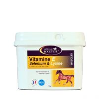 Horse Master - Vitamine E Sélénium & Lysine Poudre 1kg Horse Master