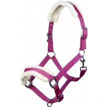 Hkm - Licol Teddy Hkm