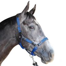 Privilège Équitation - Licol Nylon/Cuir Flags&Cup