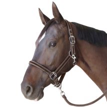 Nature Horse - SET LICOL ET LONGE BELUGA FLAGS&CUP Marron;taille