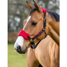 Lemieux - Licol + Longe Vogue Fleece Lemieux