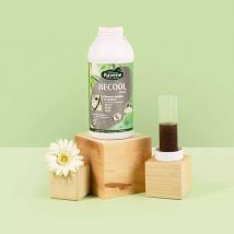 Ravene - Solution Tranquillisante Becool Ravene