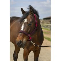 Equi-Thème - Licol Nylon Strass Equithème