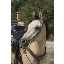 Westride by Franck Perret - BRIDON 1 OREILLE WESTRIDE BY FRANCK PERRET Chocolat;taille