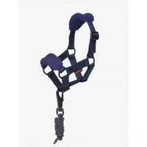 Lemieux - Licol Toy Pony Lemieux Bleu Ink