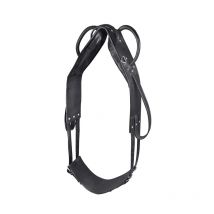 Waldhausen - Surfaix De Voltige Et De Longe Waldhausen